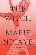 Book cover of The Witch