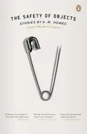 Book cover of The Safety of Objects