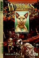 Book cover of Into the Woods