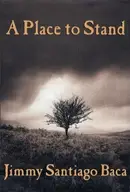 Book cover of A place to stand