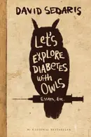Book cover of Let's Explore Diabetes with Owls