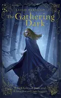 Book cover of Shadow and Bone & Siege and Storm