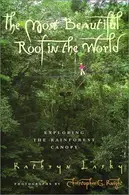 Book cover of The Most Beautiful Roof in the World