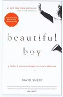 Book cover of Beautiful Boy