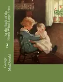 Book cover of At the Back of the North Wind