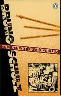 Book cover of The Street of Crocodiles
