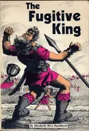 Book cover of The fugitive king