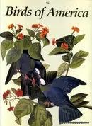 Book cover of The Birds of America
