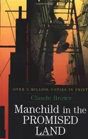 Book cover of Manchild in the promised land