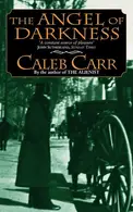 Book cover of The Angel of Darkness