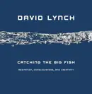 Book cover of Catching the Big Fish