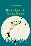 Book cover of Il était deux fois le Petit Prince
