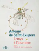 Book cover of Lettres à l'inconnue/Choix de lettres dessinées