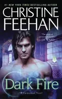 Book cover of Dark Fire