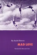 Book cover of L'amour fou