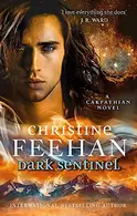 Book cover of Dark Sentinel