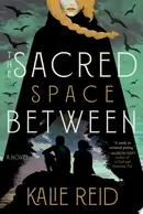 Book cover of The Sacred Space Between