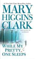 Book cover of While my pretty one sleeps