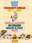 Book cover of Comment Obélix est tombé dans la marmite du druide quand il était petit