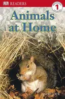 Book cover of Animals at Home