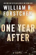 Book cover of One Year After