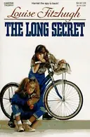 Book cover of The Long Secret
