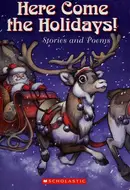 Book cover of Here come the holidays