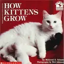 Book cover of Como Crecen Los Gatitos (Mariposa)