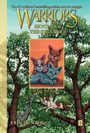 Book cover of After the Flood