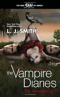 Book cover of The Vampire Diaries
