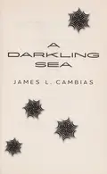 Book cover of A Darkling Sea