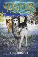 Book cover of A Hidden Enemy