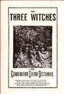 Book cover of The three witches; or, The combination dream dictionary