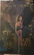 Book cover of The Vicious Lost Boys