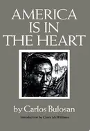 Book cover of America is in the heart