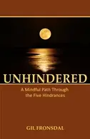 Book cover of Unhindered