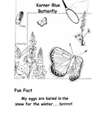 Book cover of The endangered species coloring book