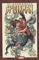 Book cover of El asombroso Spiderman por Straczynski 4