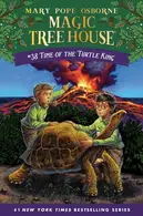 Book cover of Time of the Turtle King