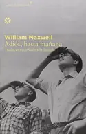 Book cover of Adiós, hasta mañana - Colección Décimo Aniversario