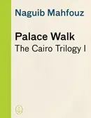 Book cover of Palace Walk