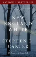 Book cover of New England White