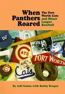 Book cover of When Panthers roared