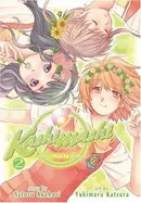 Book cover of Kashimashi