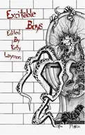 Book cover of Excitable Boys