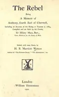 Book cover of The rebel
