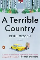 Book cover of A terrible country