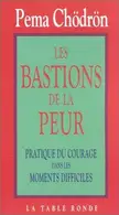 Book cover of Les Bastions de la peur