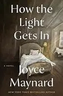Book cover of How the Light Gets In