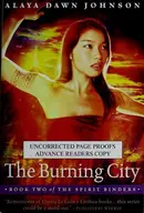 Book cover of The burning city